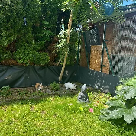 Guest House Offenbach 民宿