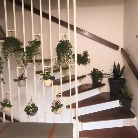 Guest House Offenbach 民宿